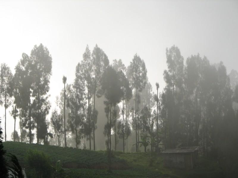 2007 07 14 BALI 110-1.jpg